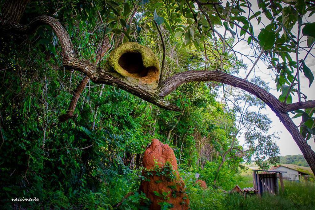 Pousada Shangrila Sao Thome São Tomé das Letras エクステリア 写真
